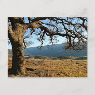 Postal Parque Regional Del Valle, Livermore, CA