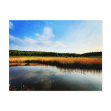 Parque rural Gedling