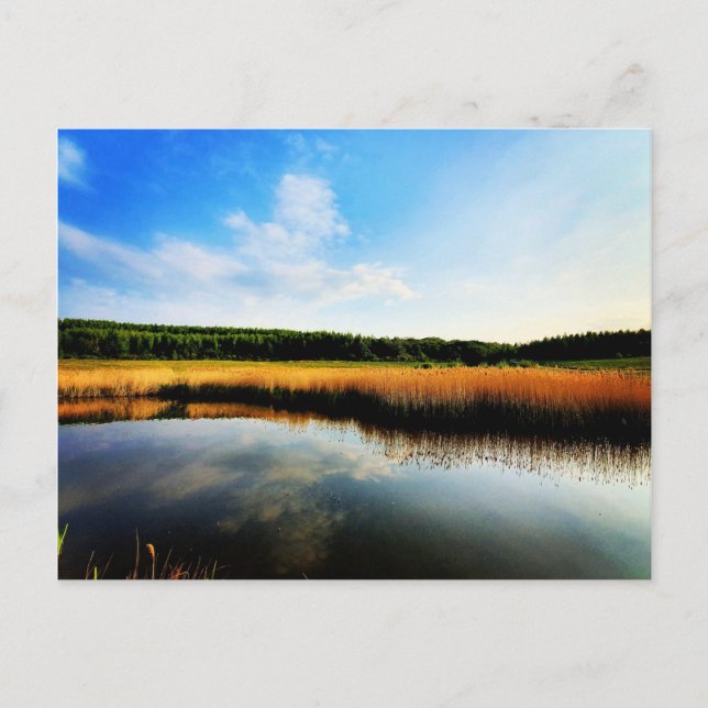 Postal Parque rural Gedling (Anverso)