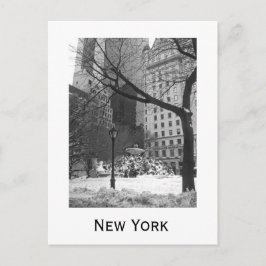 Postal Parque Snowy en Nueva York