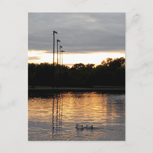 Postal Parque St. Ferdinand (Anverso)