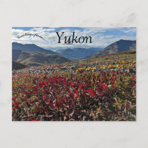 Postal Parque territorial Tombstone Dawson Yukon Canada