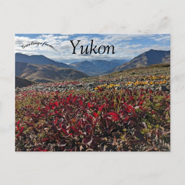 Postal Parque territorial Tombstone Dawson Yukon Canada (Anverso)