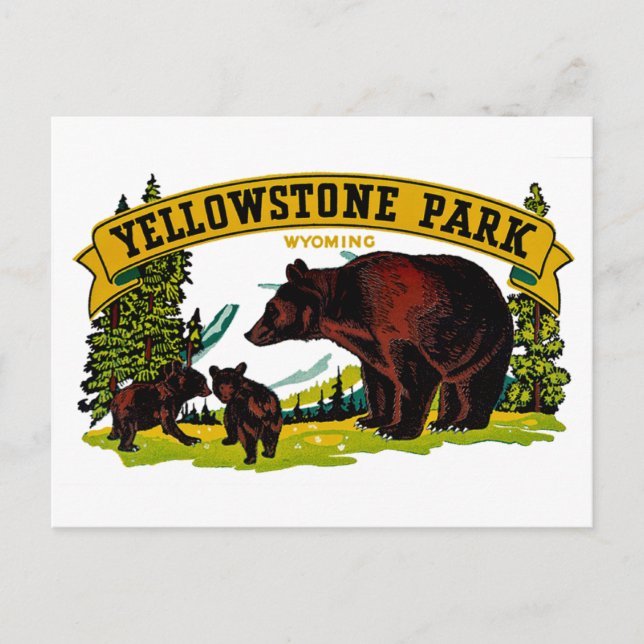 Postal Parque Yellowstone (Anverso)