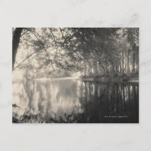 Postal Parque Yosemite, Wyoming