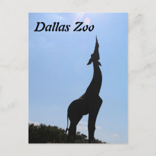 Postal Parque zoológico de Dallas