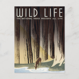 Postal Parques nacionales de venado WPA Wild Life Deer