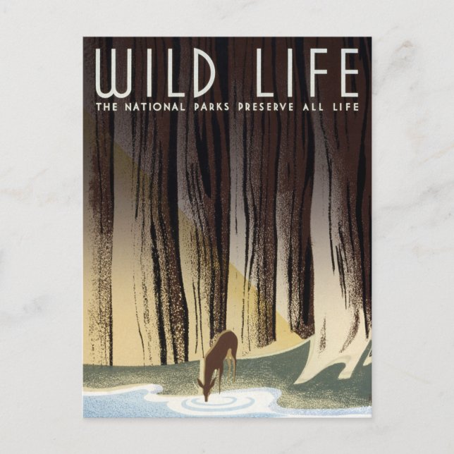Postal Parques nacionales de venado WPA Wild Life Deer (Anverso)