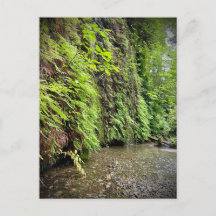 Parques nacionales y estatales de secuoya, Califor