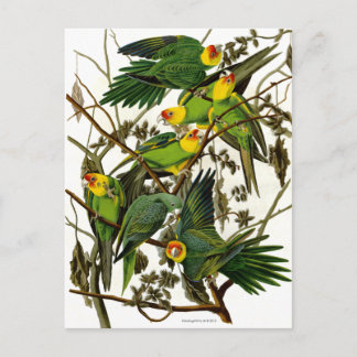 Postal Parroquias verdes vintage