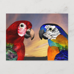 POSTAL PARROS HIPEROS / ARA ROJA Y AZUL