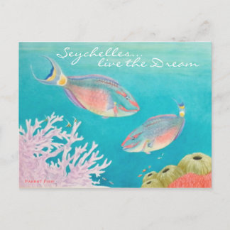 Postal Parrot Fish