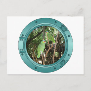 Postal Parrot Porthole