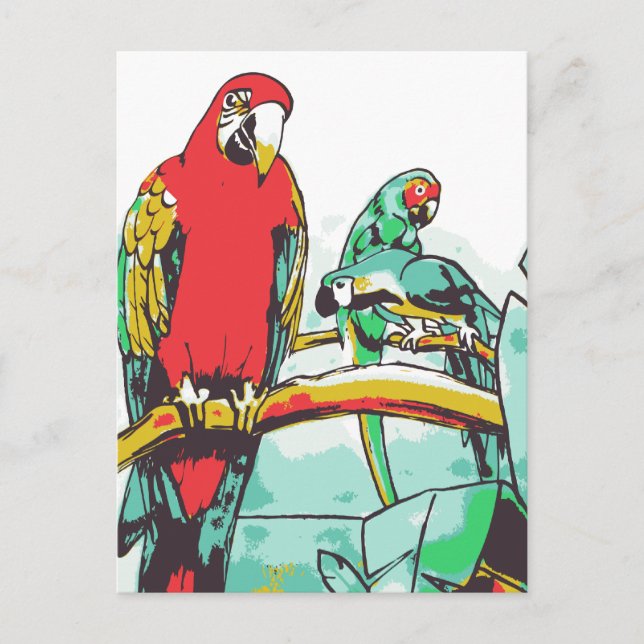 Postal Parrot Trio (Anverso)