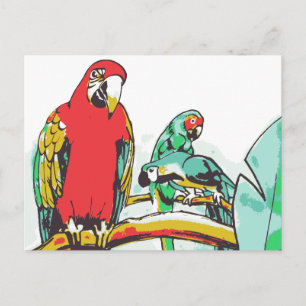 Postal Parrot Trio