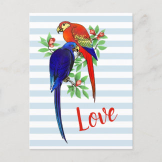 Postal Parrots Cutos En Amor Vintage Azul Rojo