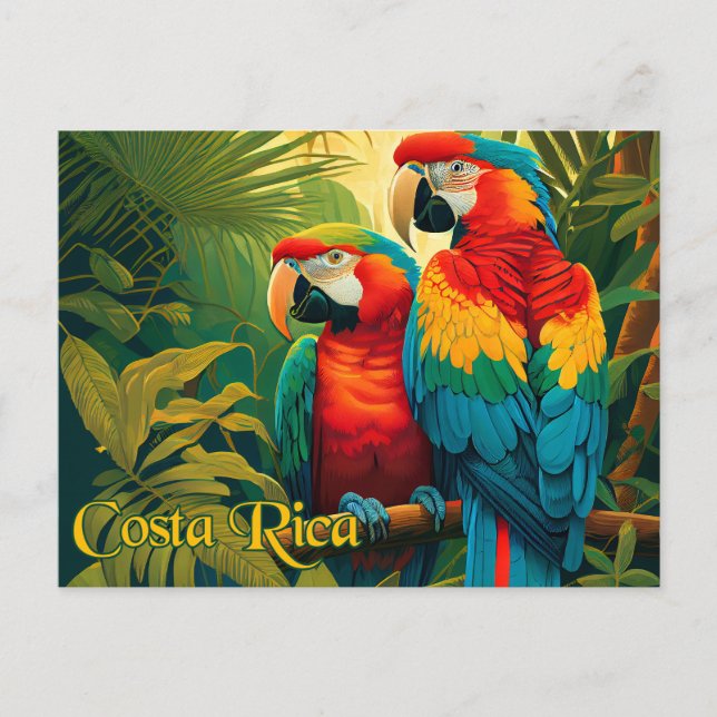 Postal Parrots de Costa Rica (Anverso)
