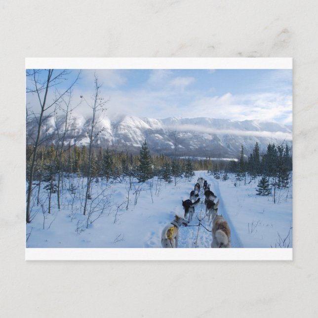 Postal ParrotSleds - Paisaje (Anverso)