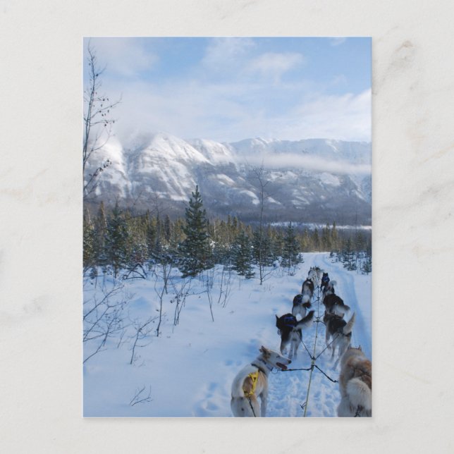 Postal ParrotSleds - Paisaje (Anverso)