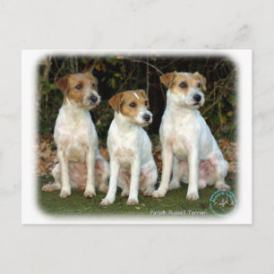 Postal Parson Russell Terriers 9T016D-332