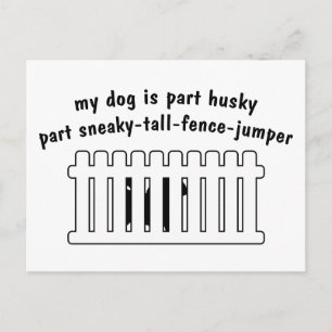 Postal Parte Husky Parte Fence-Jumper