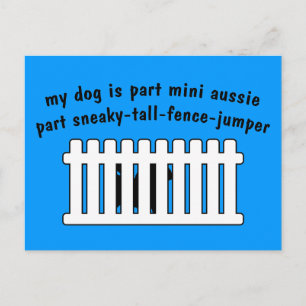 Postal Parte Mini parte australiana Fence-Jumper