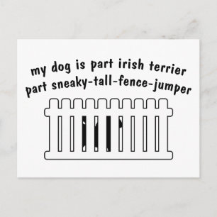 Postal Parte Territorio Irlandés Parte Fence-Jumper