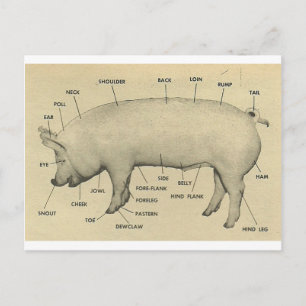 Postal partes de cerdo