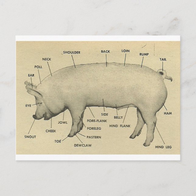 Postal partes de cerdo (Anverso)