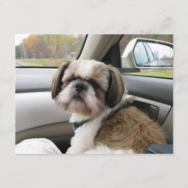 Postal Pasajero Impaciente (Anverso)