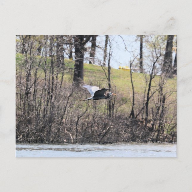 Postal Pasar (Anverso)