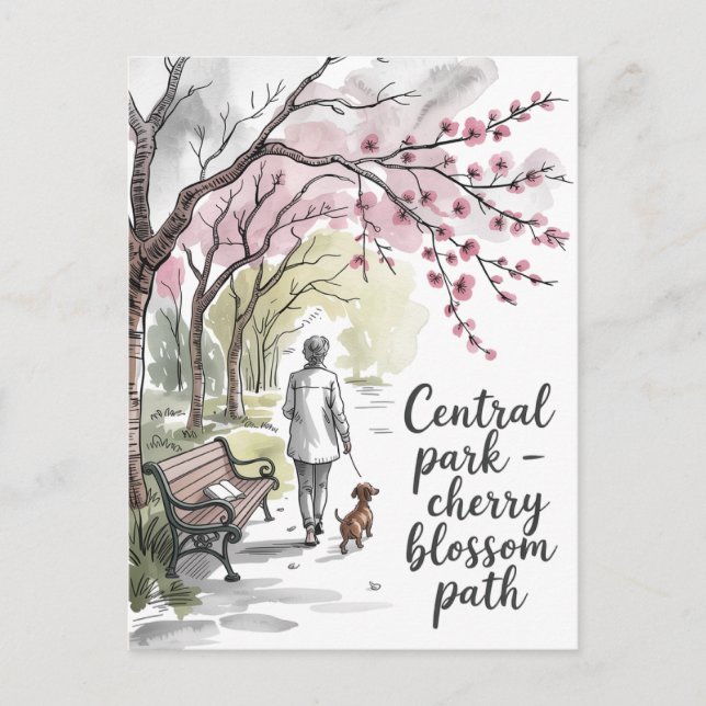 Postal pasarela de flores de cerezo en Central Park (Anverso)