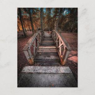 Postal Pasarela de Madera con Camino Forestal