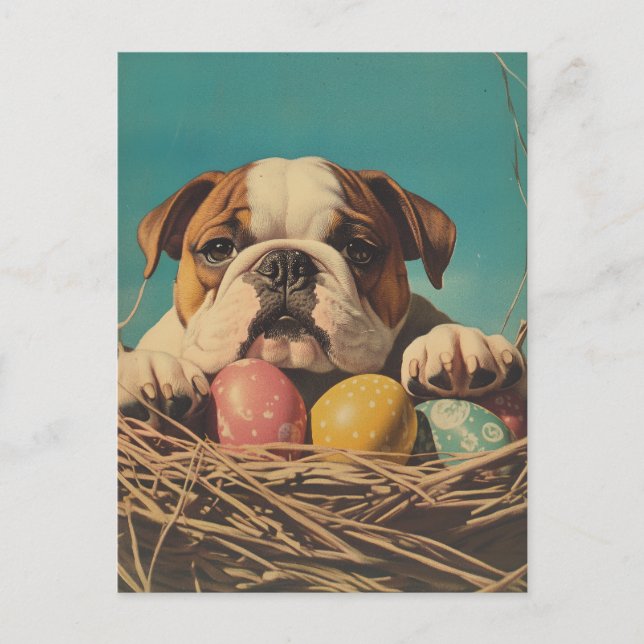 Postal Pascua de bulldog (Anverso)