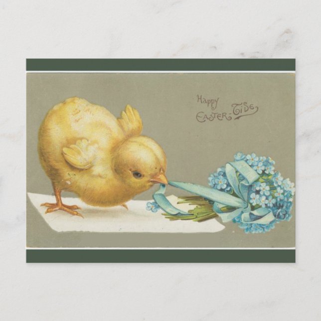 Postal Pascua de Chick de época que brega flores (Anverso)