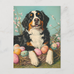 Postal Pascua de San Bernardo