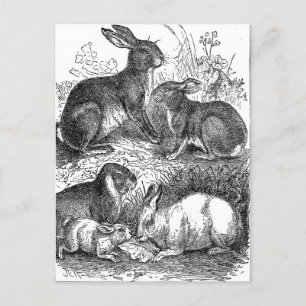 Postal Pascua de Vintage