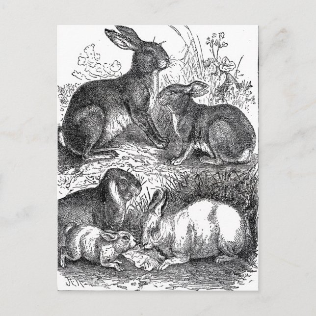 Postal Pascua de Vintage (Anverso)