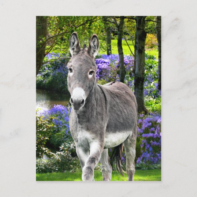 Postal "Pascua dulce" (Anverso)