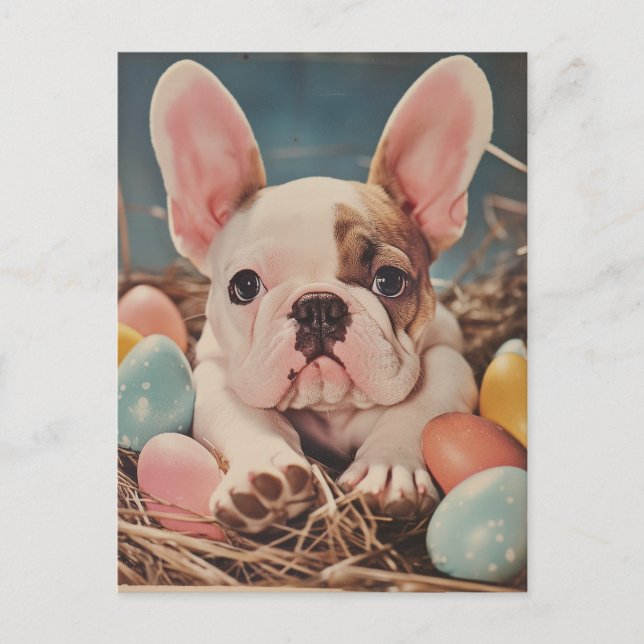 Postal Pascua vieja de Bulldog francés (Anverso)