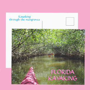 Postal Paseando en Kayak por los Manglares Aventura en Fl