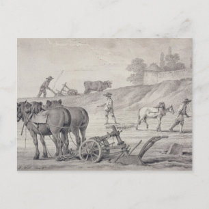 Postal Paseando los campos