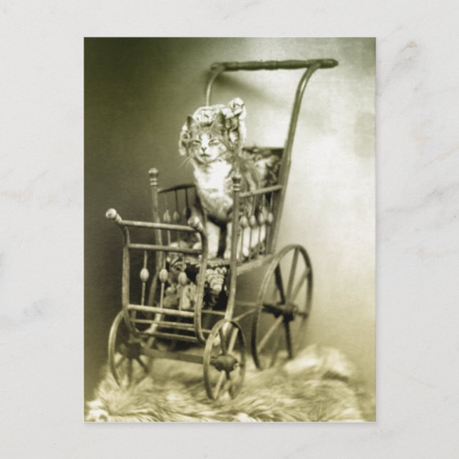 Postal pasear con gatitos (Anverso)