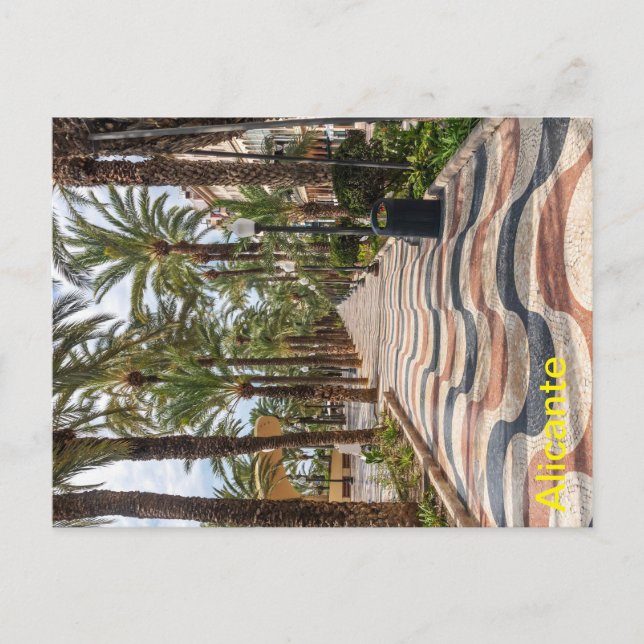 Postal Paseo, Alicante, Costa Blanca, España (Anverso)