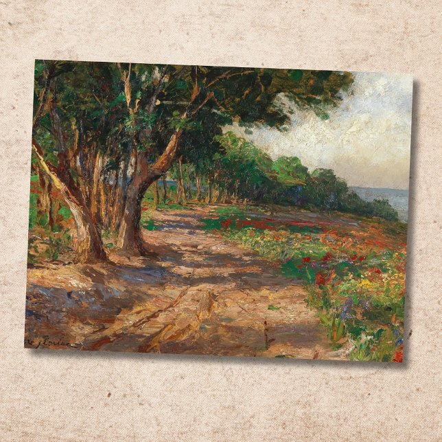 Postal Paseo arbolado con olmos en Euxinograd (Subido por el creador)