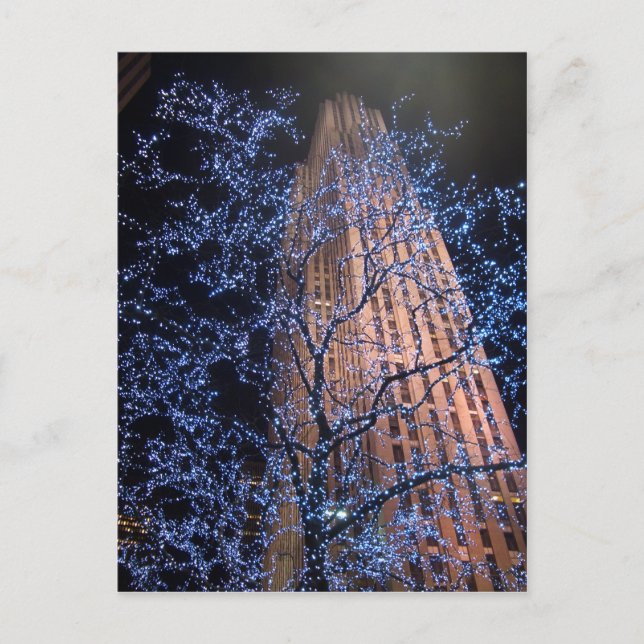 Postal Paseo CricketDiane de la noche de New York City (Anverso)