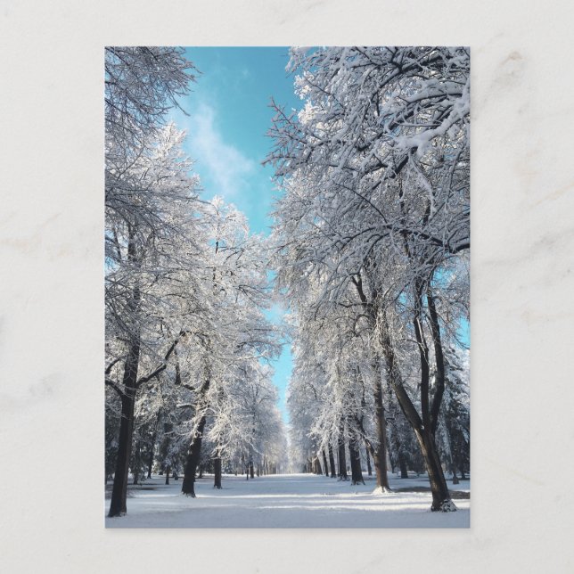 Postal paseo de invierno en el parque (Anverso)