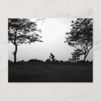 Paseo de la bici de la tarde