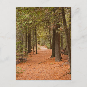 Postal Paseo de otoño