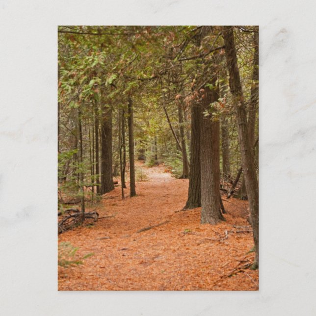 Postal Paseo de otoño (Anverso)